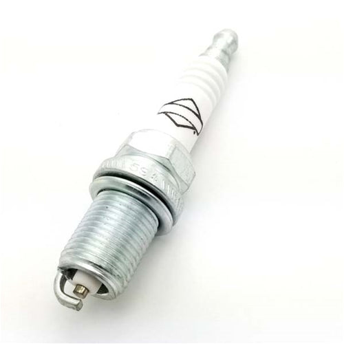 Briggs and Stratton Racing LO206 Champion Spark Plug