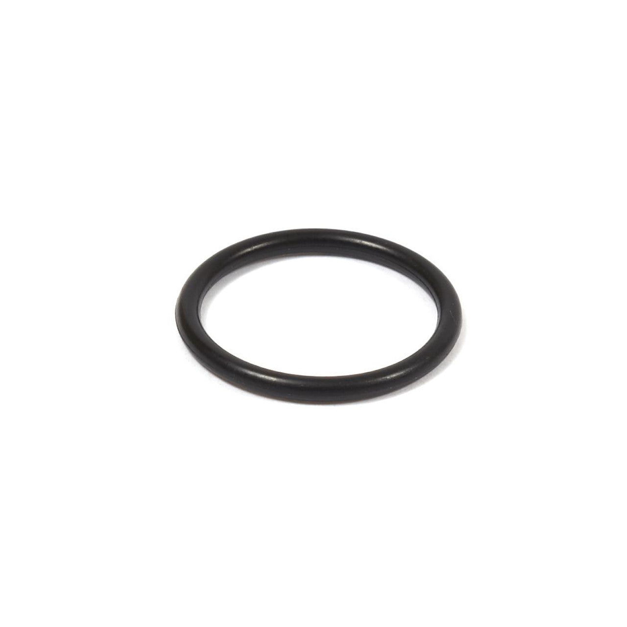 Briggs and Stratton Racing LO206 Carburator Seal O-Ring