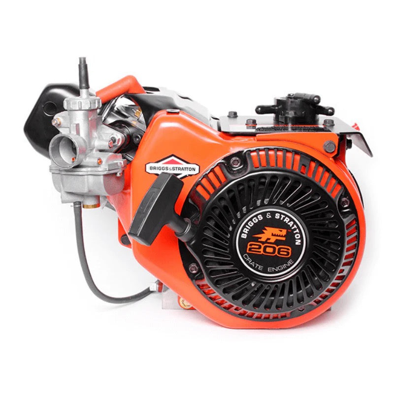 Briggs and Stratton LO206 Crate Engine