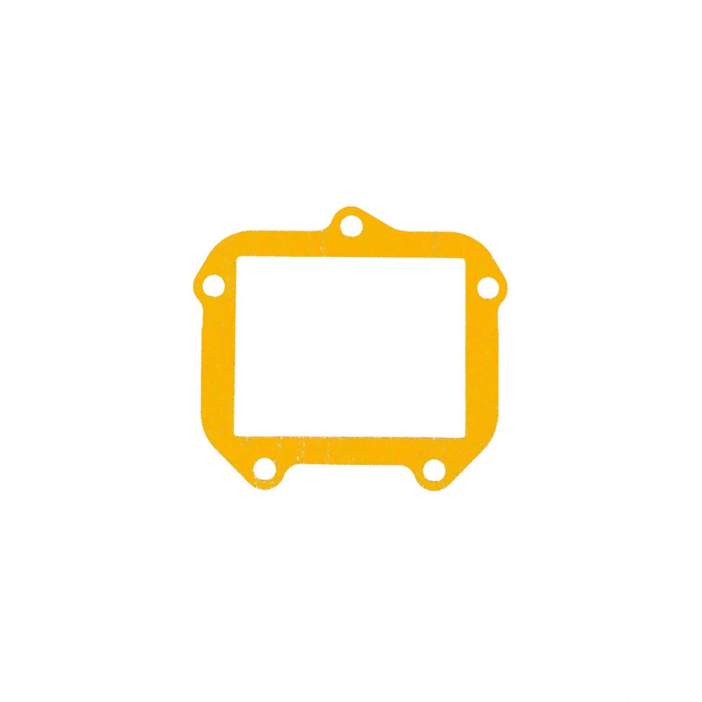 Rotax Reed Cage Gasket