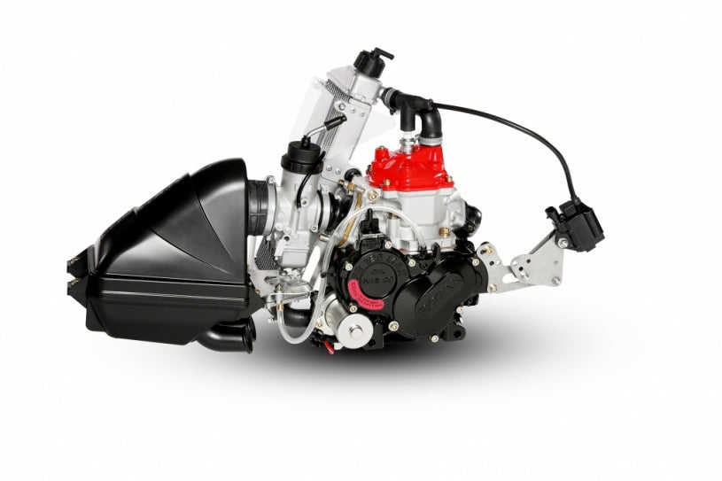 Rotax Max Engine