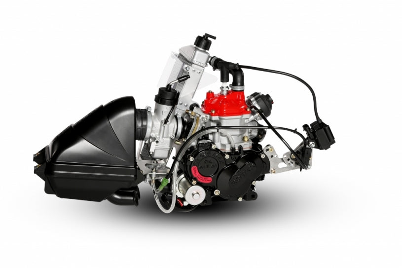 Rotax Max Engine
