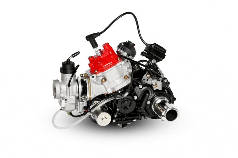 Rotax Max Engine