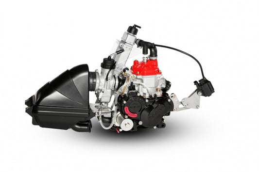 Rotax Max Engine